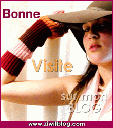 bienvenue chez fallou