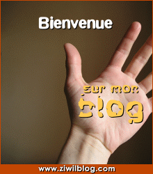 bienvenue chez fallou