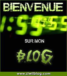 bienvenue chez fallou