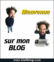 bienvenue chez fallou