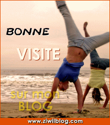 bienvenue chez fallou